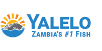 Yalelo Limited