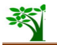 Internal Audit and Risk Compliance Management Manager at Yemisrach Microfinance Institute